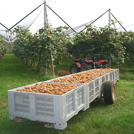 La Meridiana Bed & Breakfast