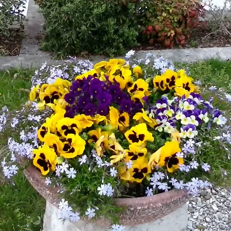 La Meridiana Crocetta del Montello