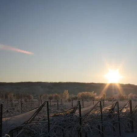 فندق مبيت وإفطار La Meridiana