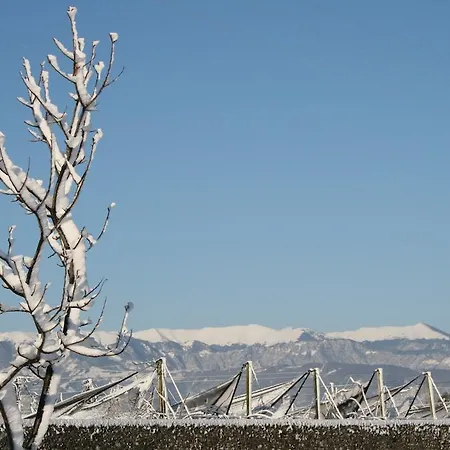Bed & Breakfast La Meridiana Crocetta del Montello