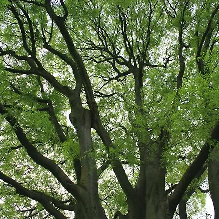 La Meridiana 3* Crocetta del Montello