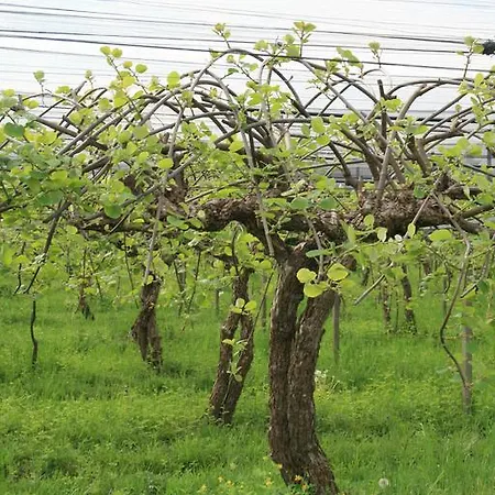 La Meridiana 3* Crocetta del Montello