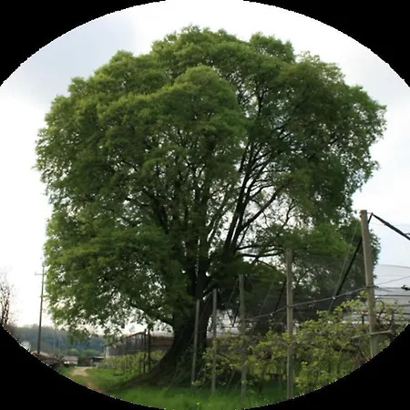 Bed & Breakfast La Meridiana 3*