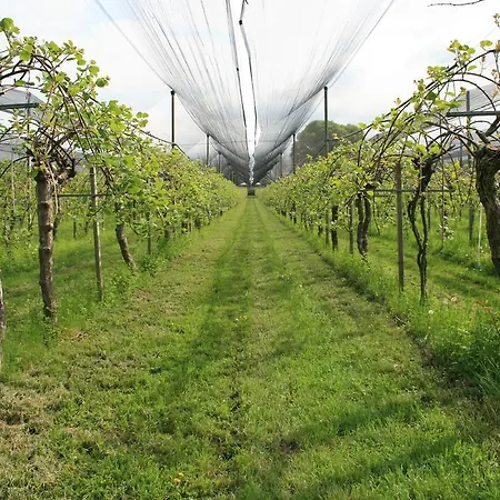 La Meridiana Отель типа 